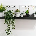 Svl - Sunny And Bright Apartment At Historical Center